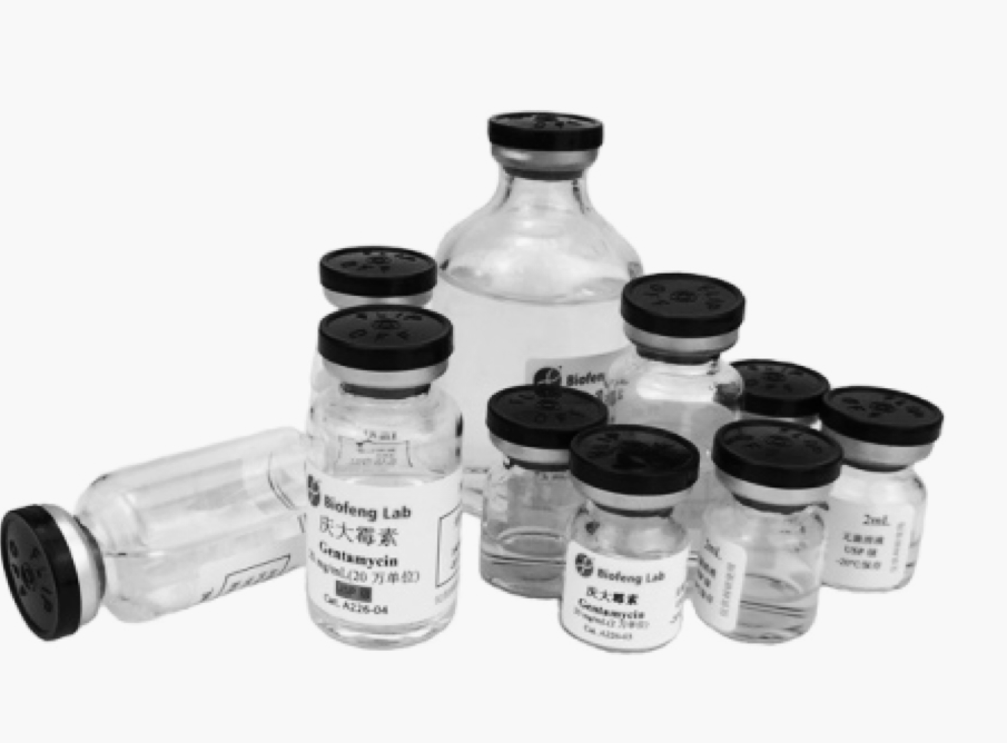 首页- 南宫NG28集团娱乐官方网站